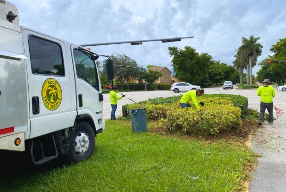 Car Dealerships & Auto Services Tree Care