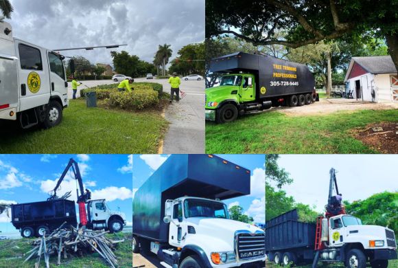 Case Studies & Success Stories​