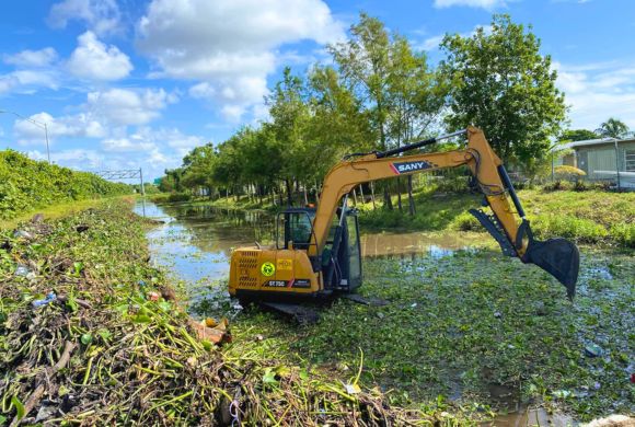 Coastal Areas & Mangrove Restoration