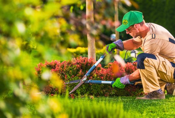 Core Aeration Services
