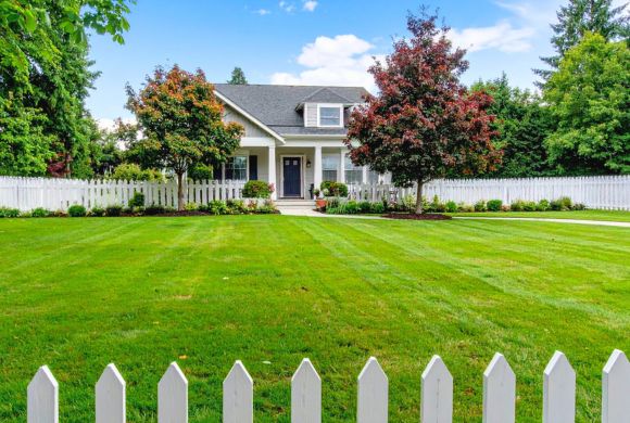 Estate Property Tree & Landscape Services