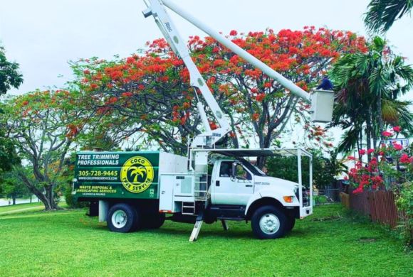 Gas Stations & Convenience Stores Tree Services