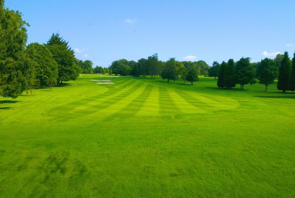 Golf Course & Country Club Tree Services​