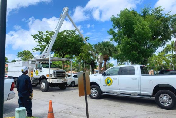 Industrial Parks & Warehouse Tree Services​