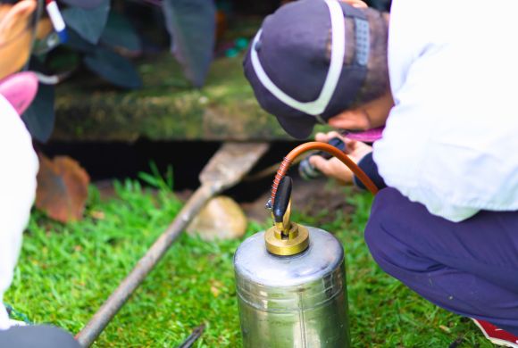 Insect & Grub Management