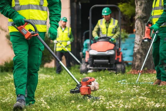 Lawn Seeding Services​