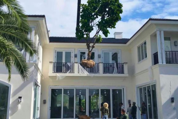 New Construction Landscaping Services