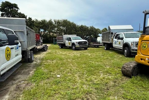 Office Park & Business Center Tree Services