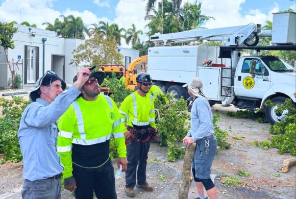 Professional Vegetation Management for Municipal