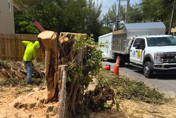 Reliable Landscape Services for Property Managers & HOAs