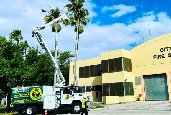 Religious Institutions Tree Care