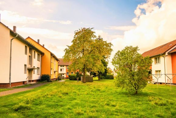 Residential Tree & Lawn Care Services​