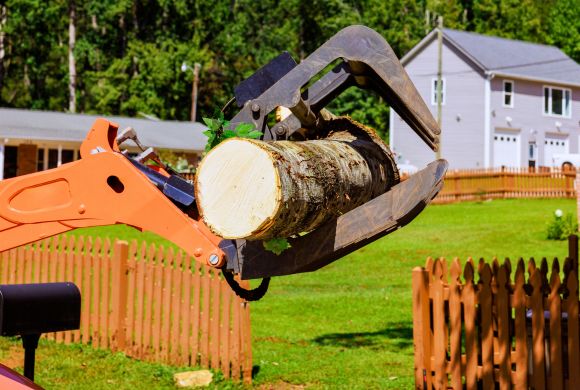 Right-of-Way Maintenance & Clearing (DOT)​