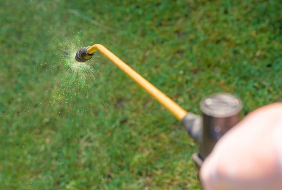 Stop Pests Before They Destroy Your Trees​