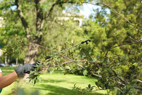 Tick Control Services​