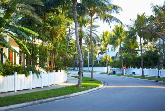 Townhomes & Duplexes Tree & Lawn Care​