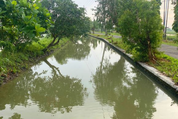 Vegetation Management in Canals, Lakes